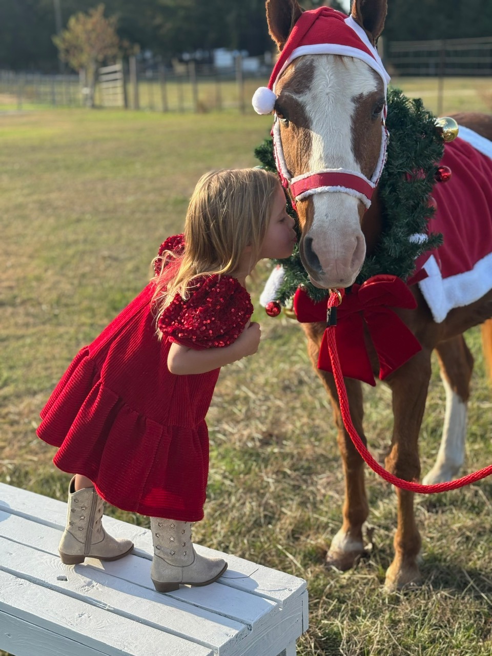 Snickers the Santa Pony gets Christmas kisses at a holiday pony photo session