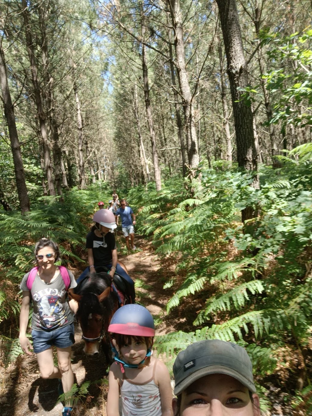 ballde cheval pins Landes 