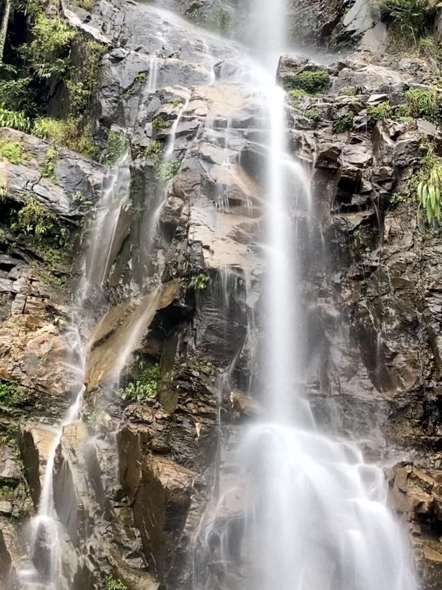 a waterfall in the middle of a forest