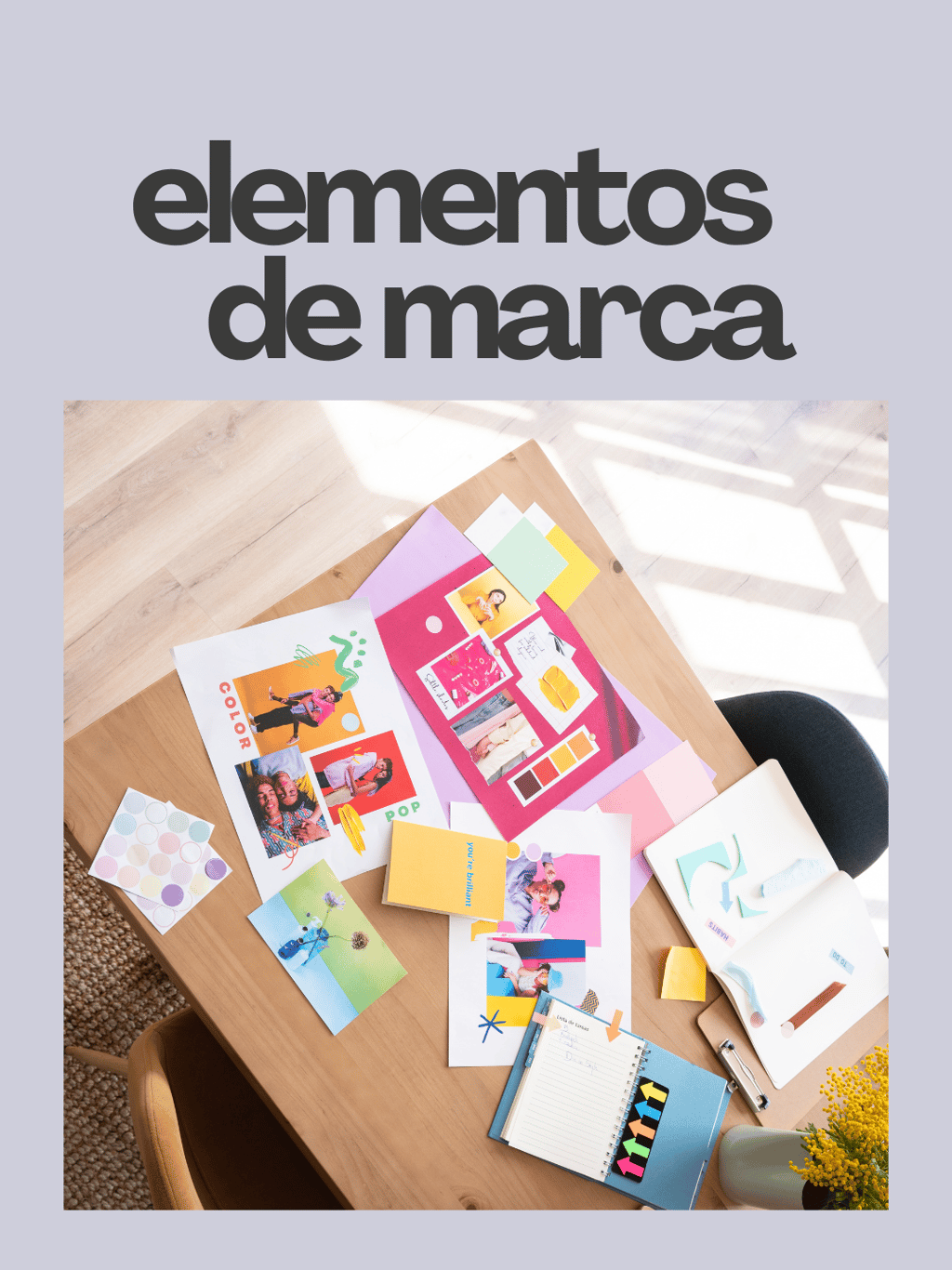 Elementos de marca _ Dani Ortiz