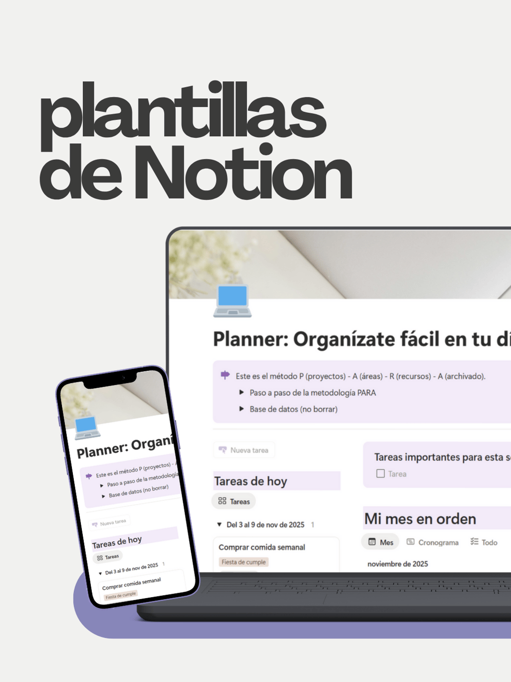 Plantillas de Notion _Dani Ortiz