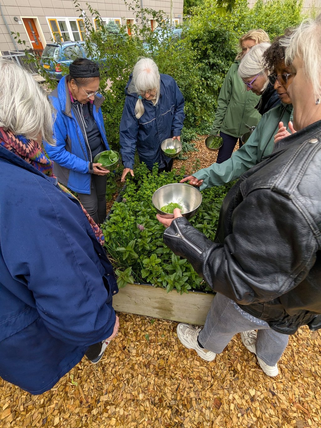 garden activity