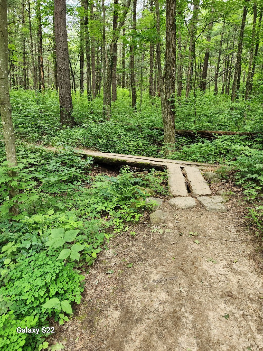 a wooden bridge over a small bridge in the woods