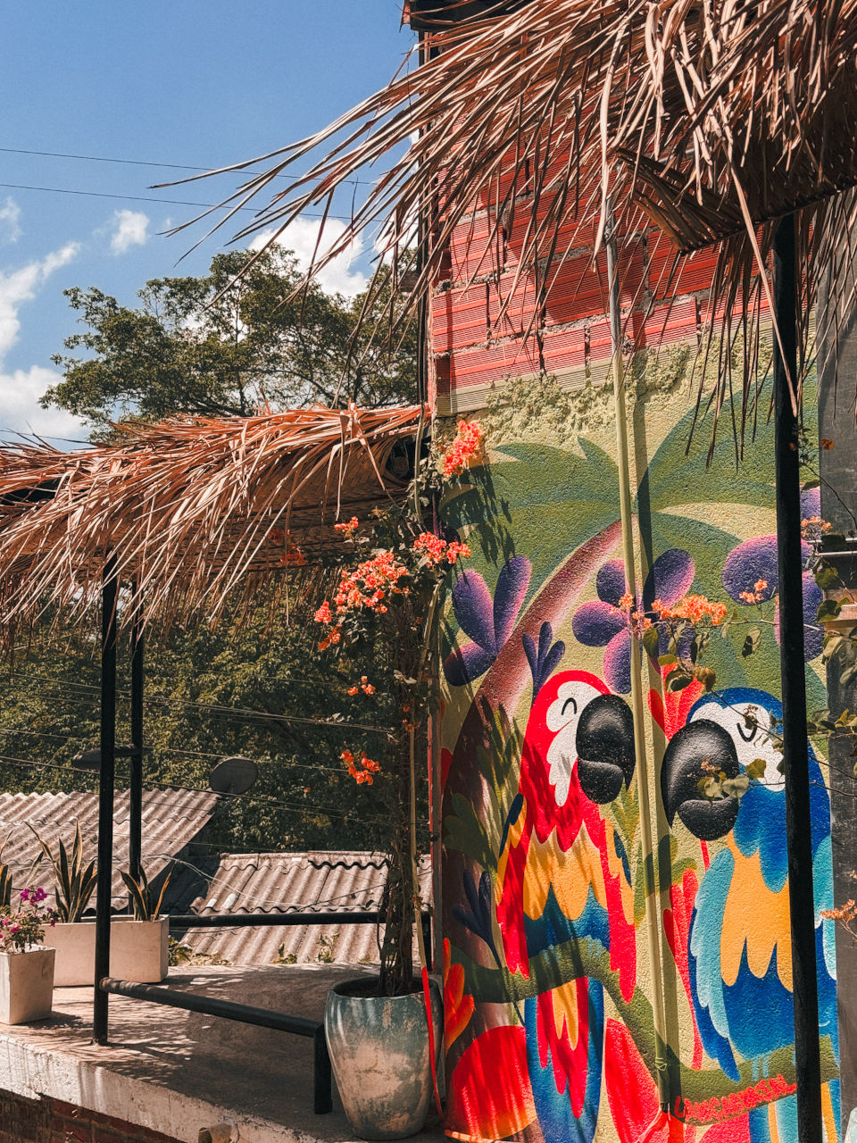 Mural art in the jungle town Minca, Colombia