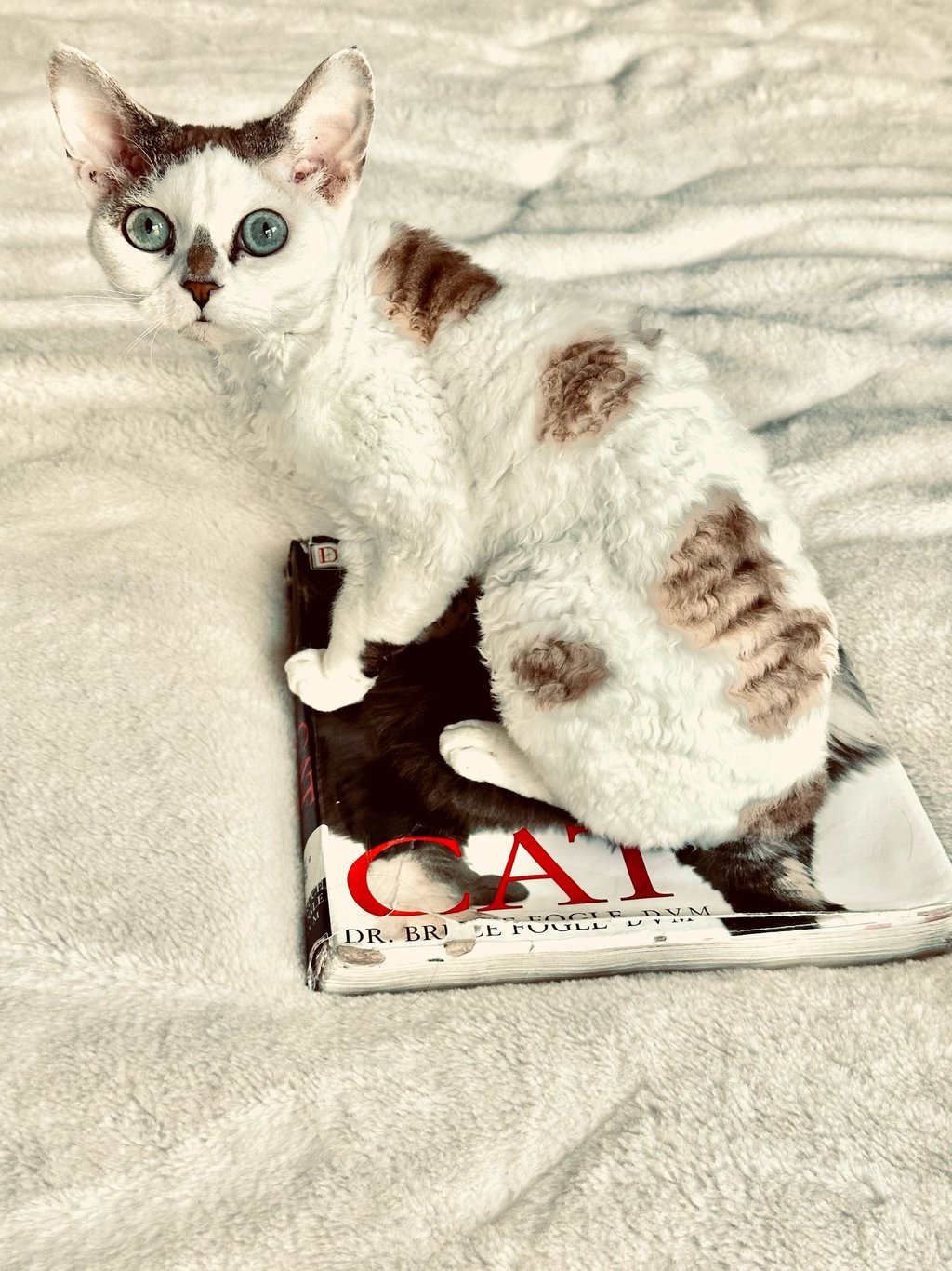 Dominika sitting on top of a book