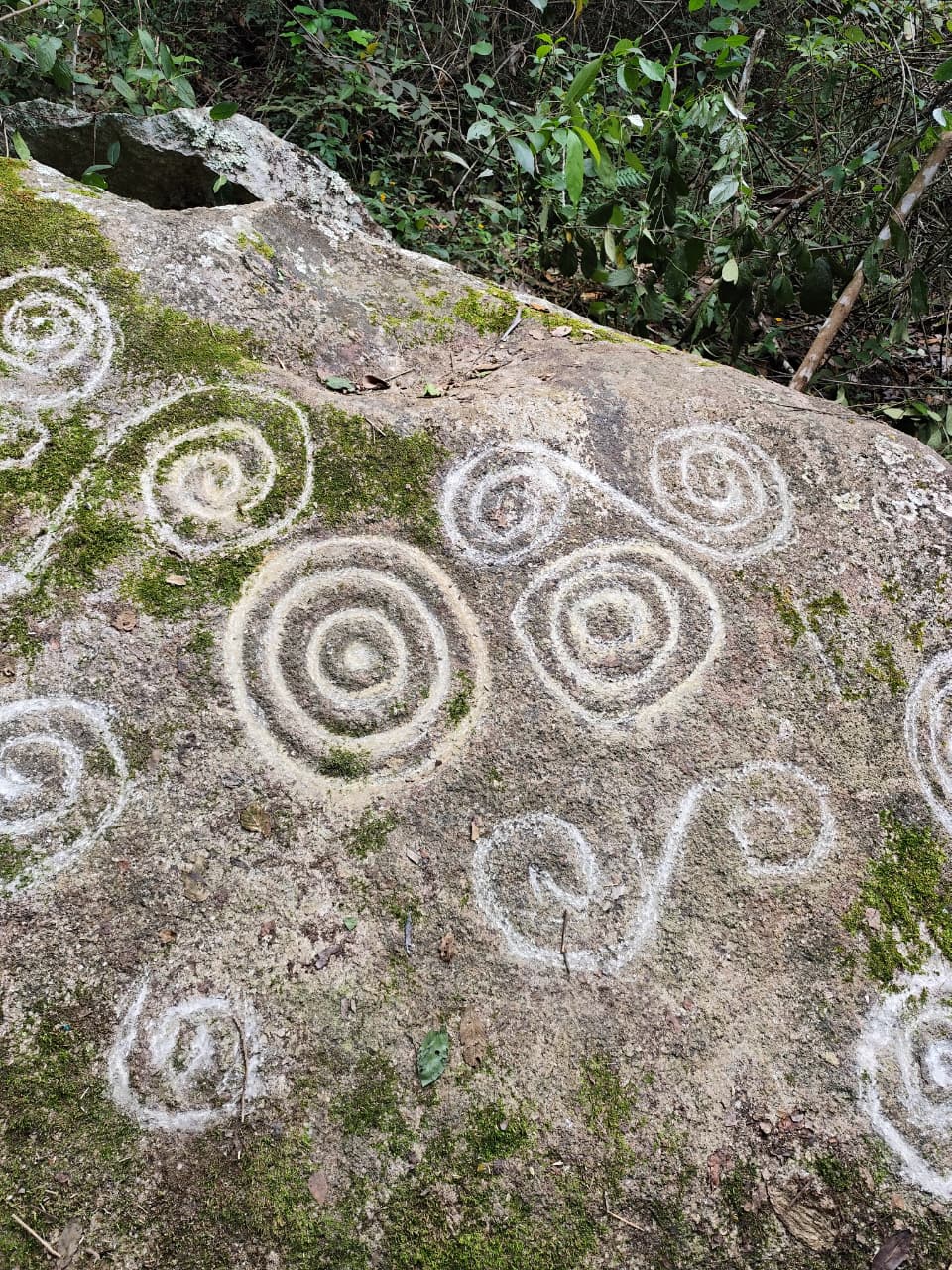 Detalle de petroglifo tallado en roca