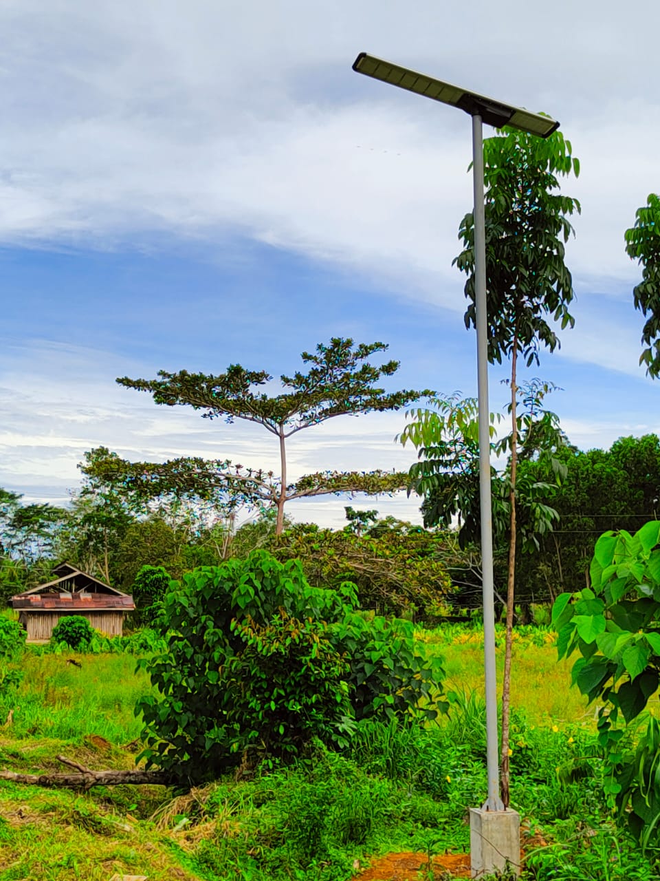 all in one solar led street light for rural