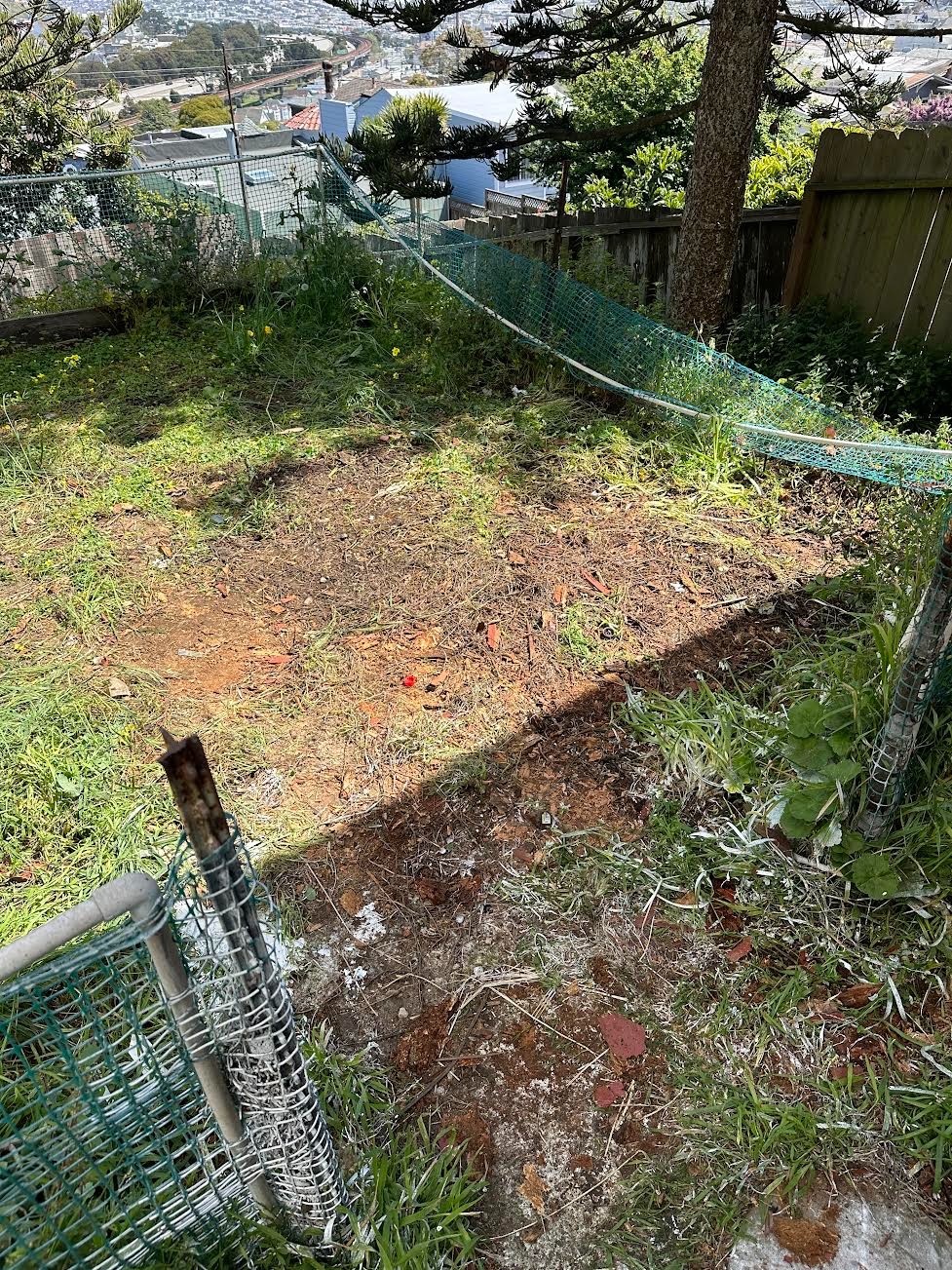 SFC Junk Removal: Fallen branch and storm debris pickup in SF 94110.