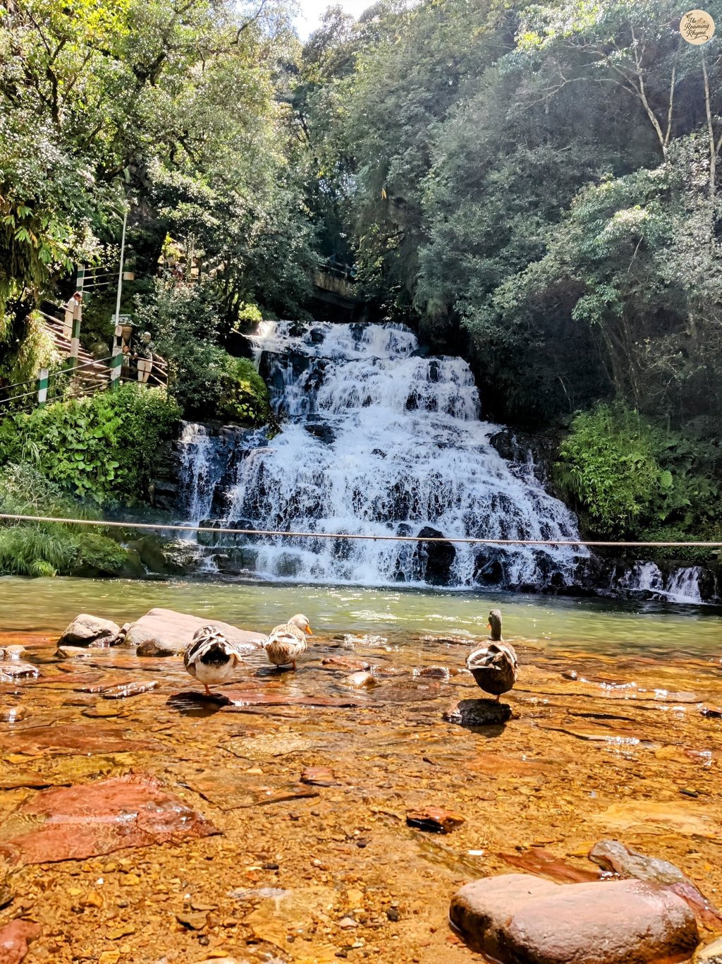 Elephant Falls, Third Tier – Shillong’s Grand Waterfall Finale in Full Flow