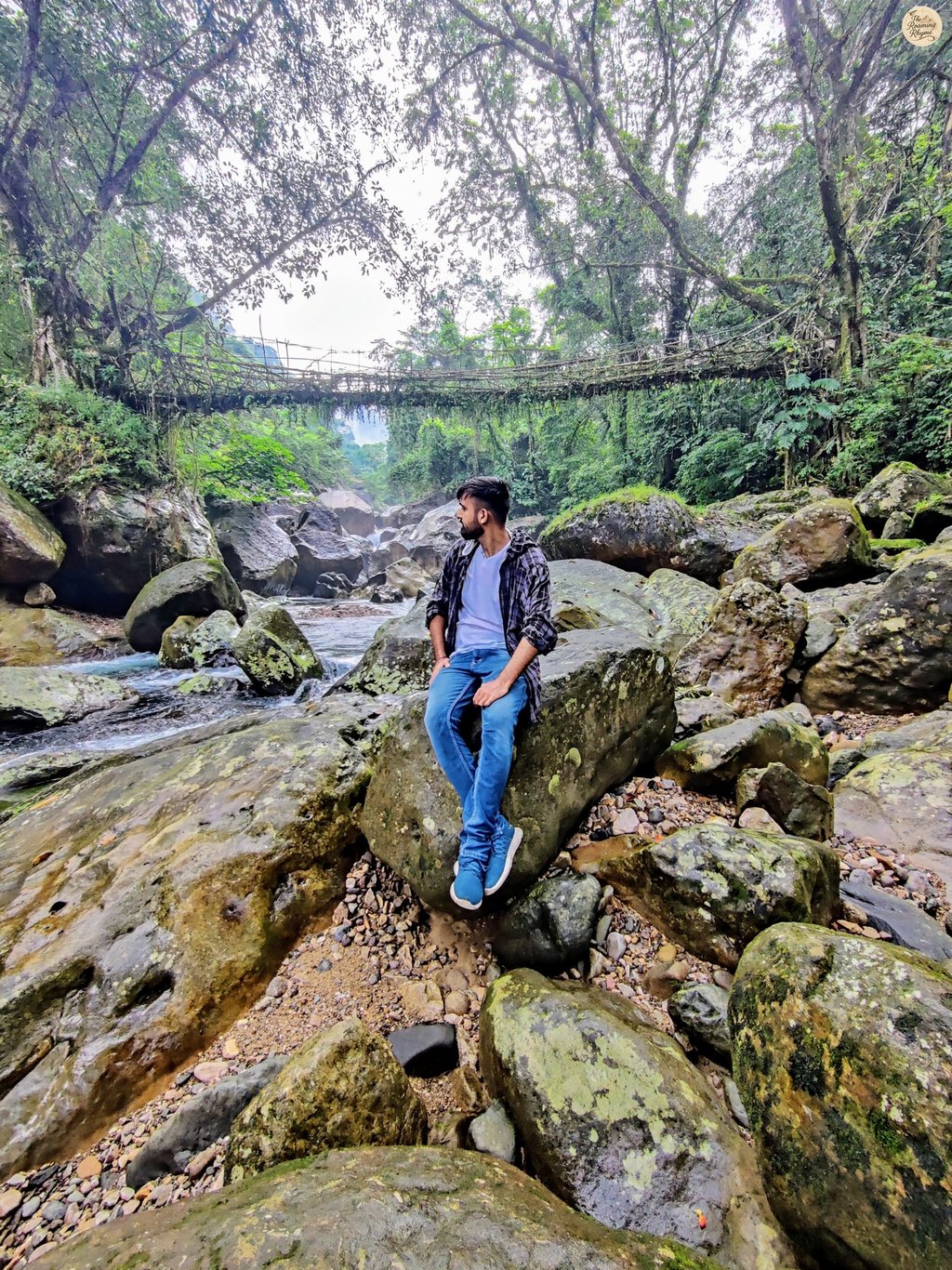 Single Decker Root Bridge – A Trek Woven in Roots and Rock