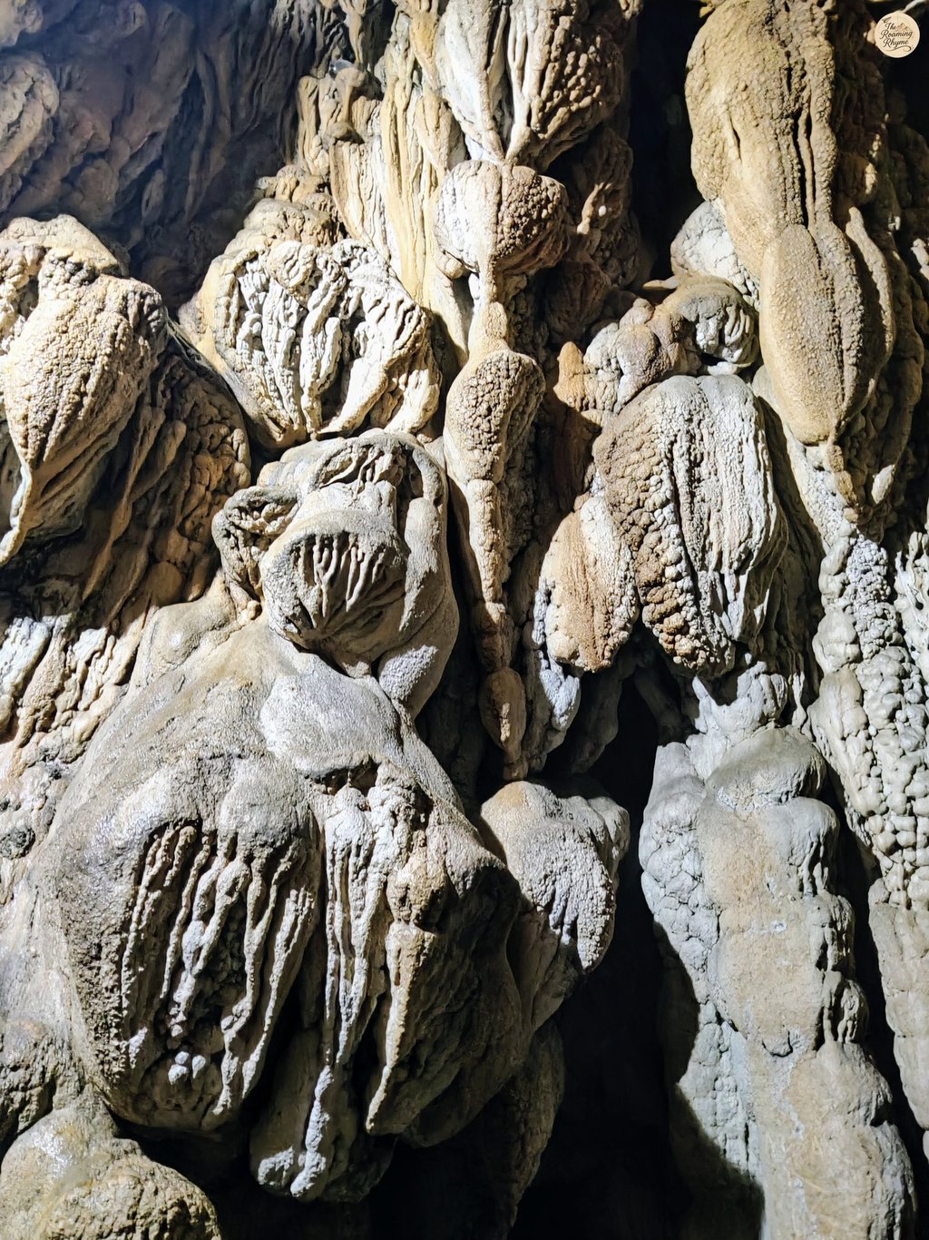 Mawsmai Cave – Where Stone Folds Like Fabric in Meghalaya’s Depths