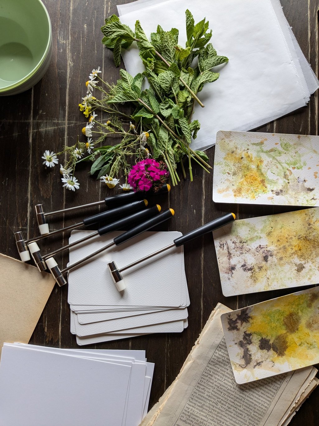 Creative garden 2025