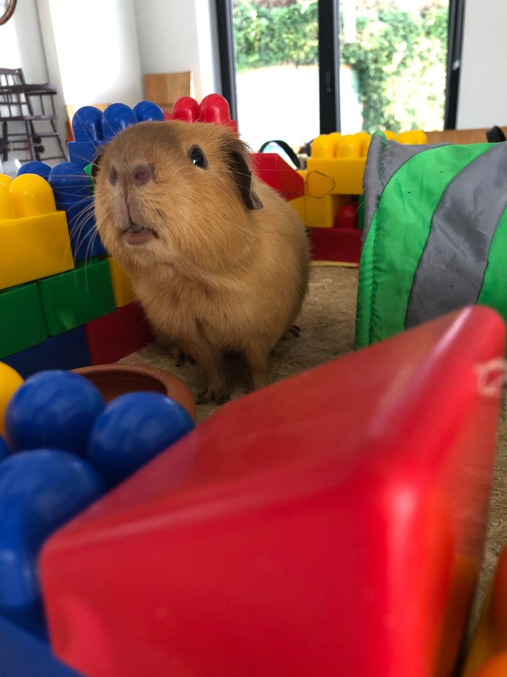 therapie pedia namur