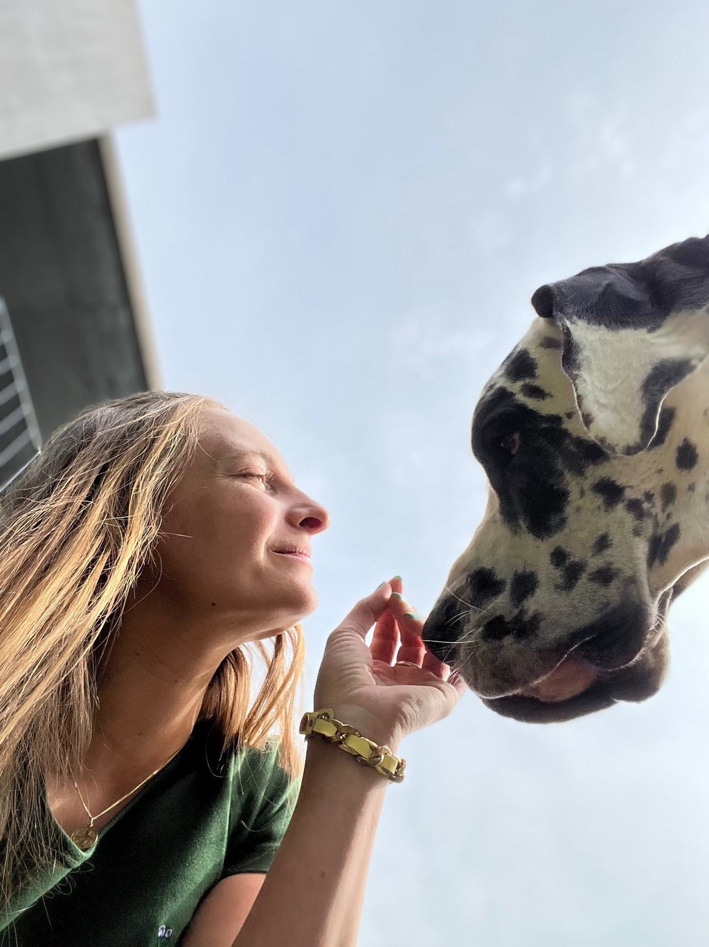 Animal communication between a woman and a Great Dane