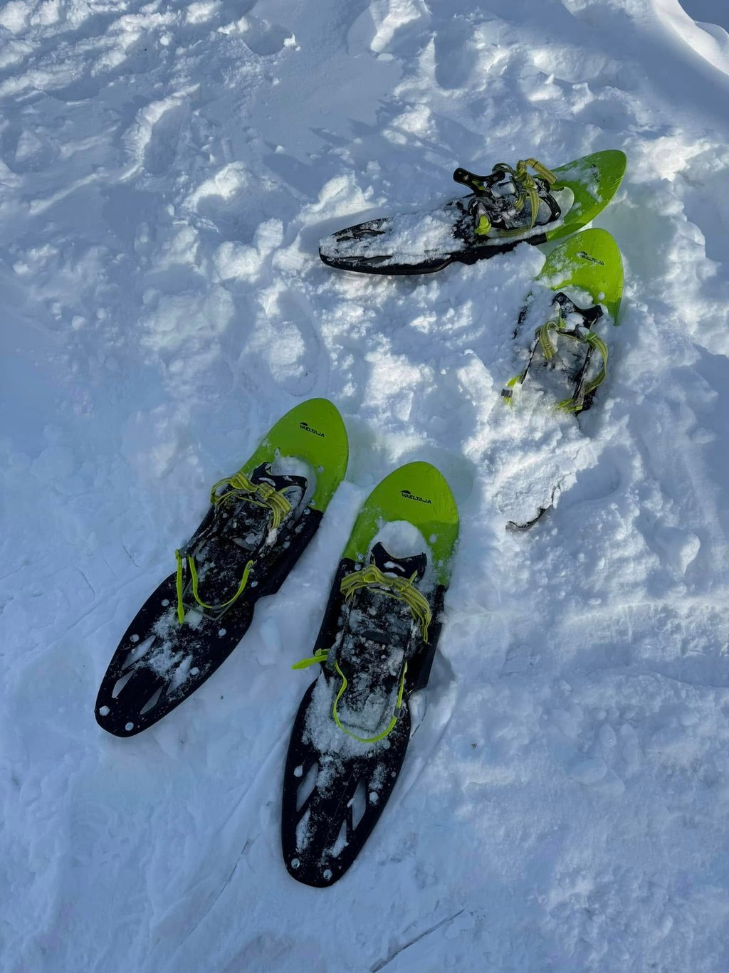 Two pairs of lime green snowshoes resting on a deep, white snow-covered surface for winter hiking.