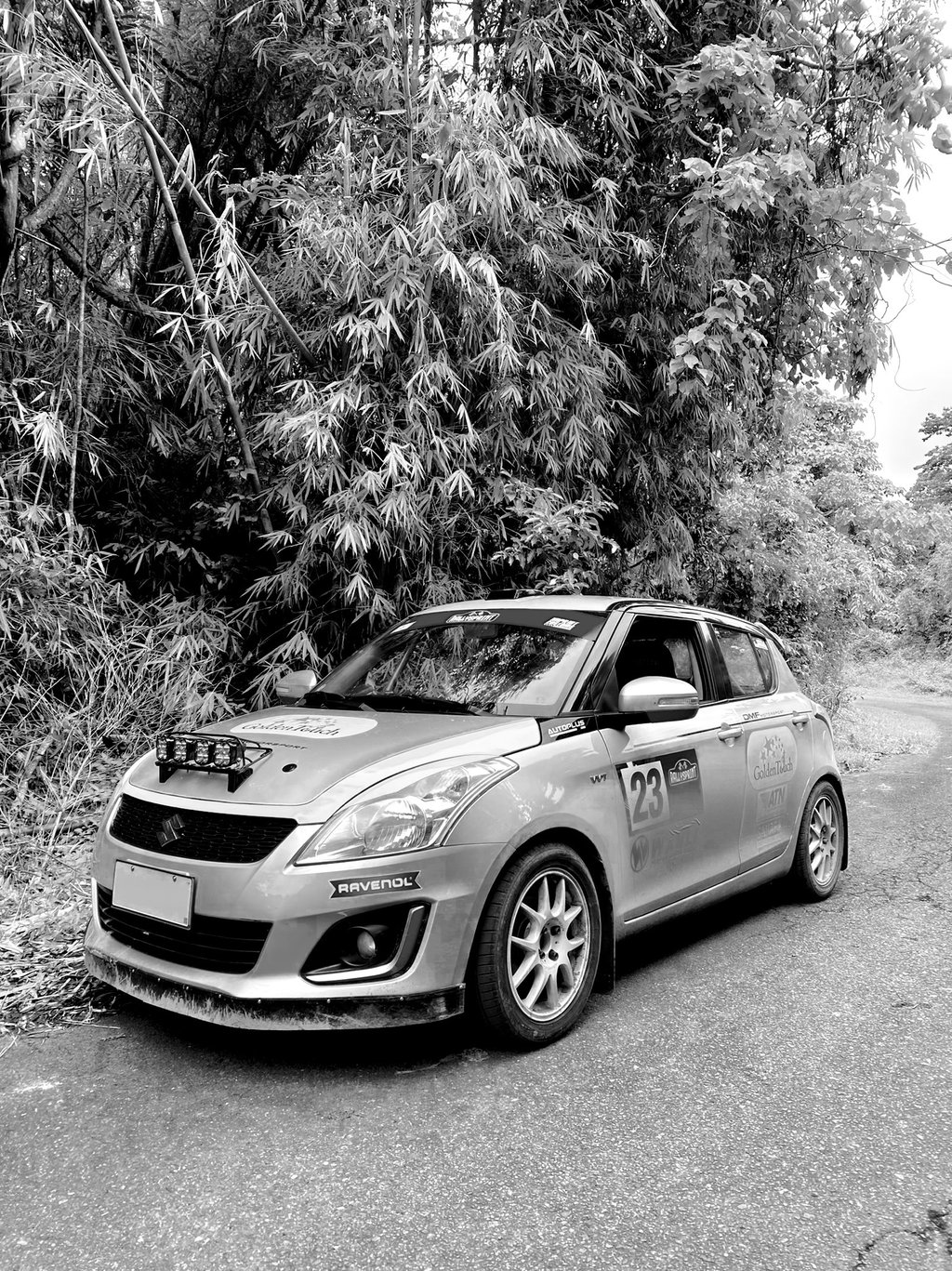 Rally car parked on an empty road with shrubbery and trees in the background