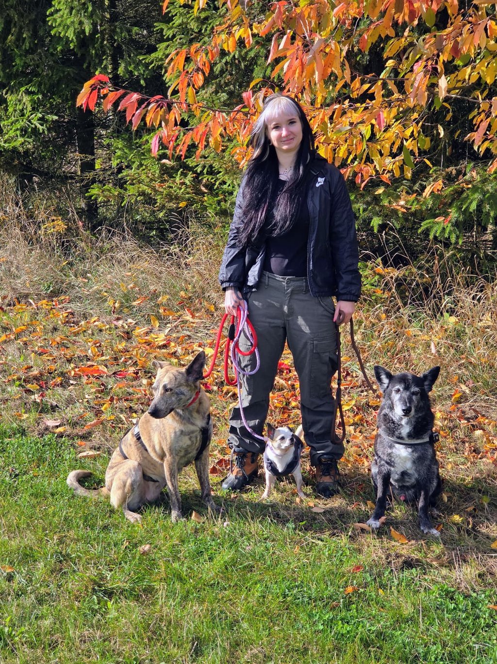 Mel mit 3 Hunden im Wald
