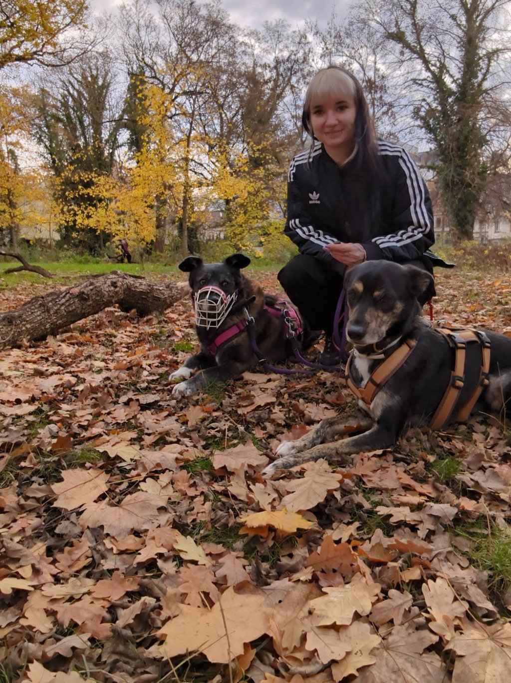 Mel mit 2 Hunden beim Social Walk in Leipzig, ein Hund trägt einen Maulkorb