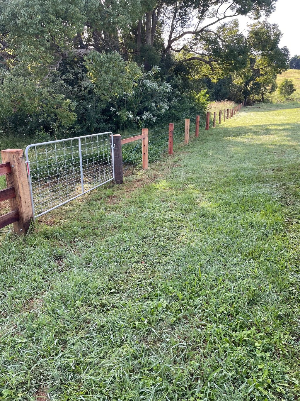 Fence built from Lismore Firewood Company posts