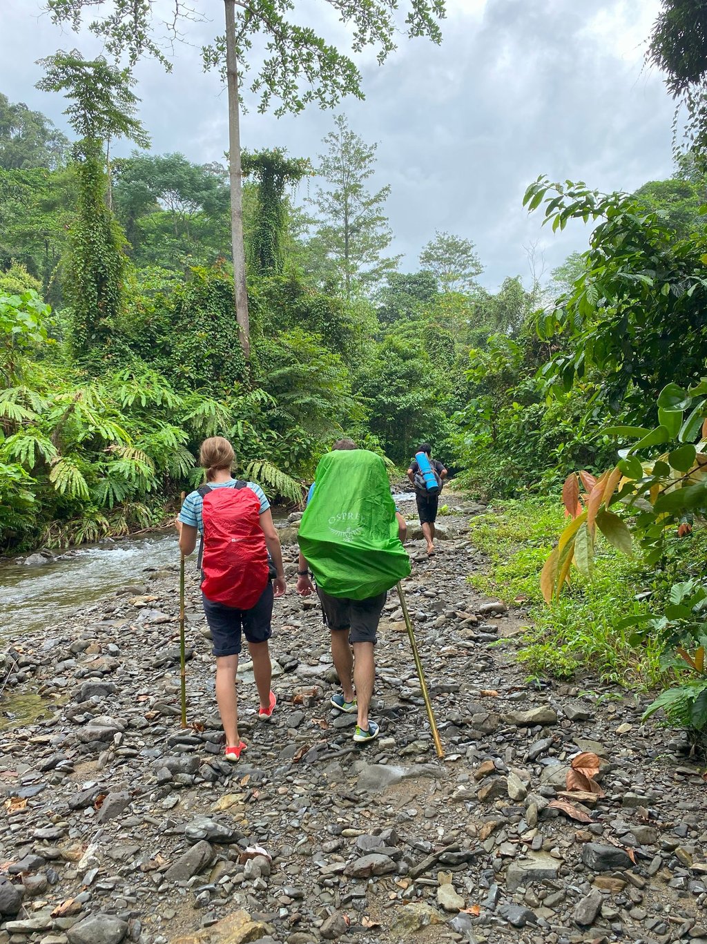 Sumatra Trip