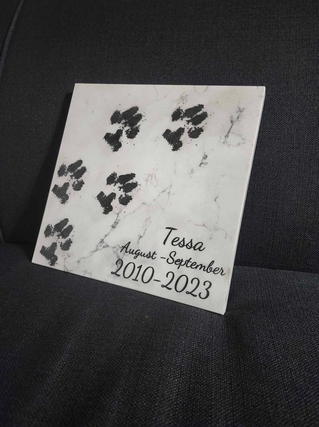 Dog paw prints