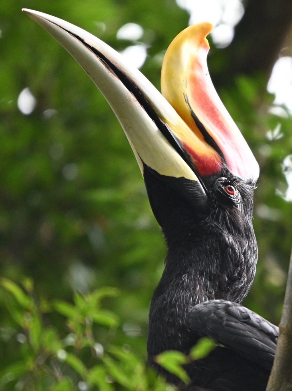 2 day jungle trekking in bukit lawang with overnight camping