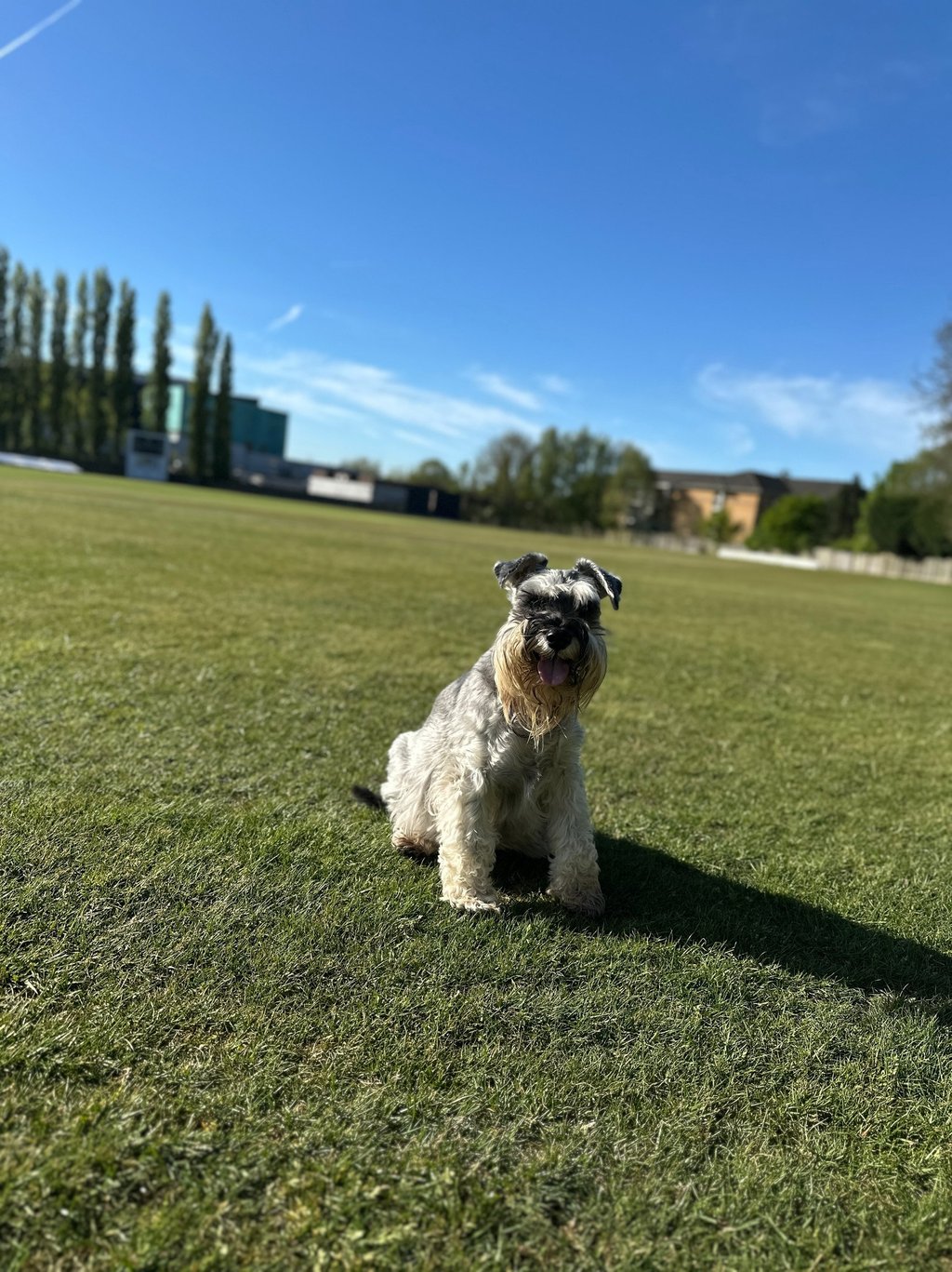 Local Character of Walsall