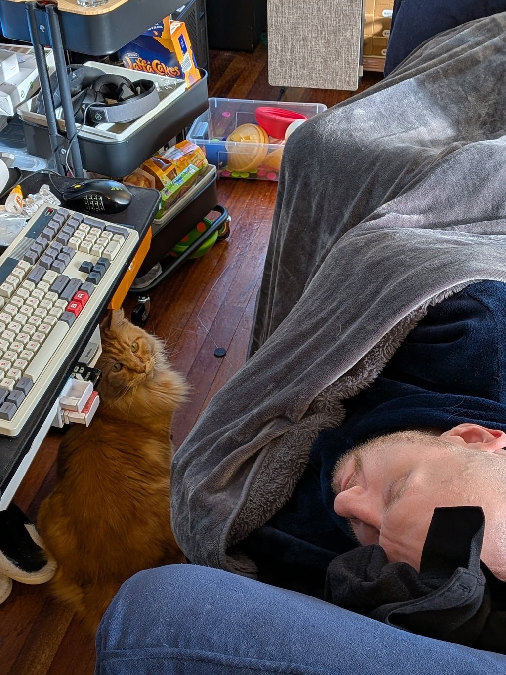 This cat is an addict. He is trying to get catnip treats from a sleeping man.