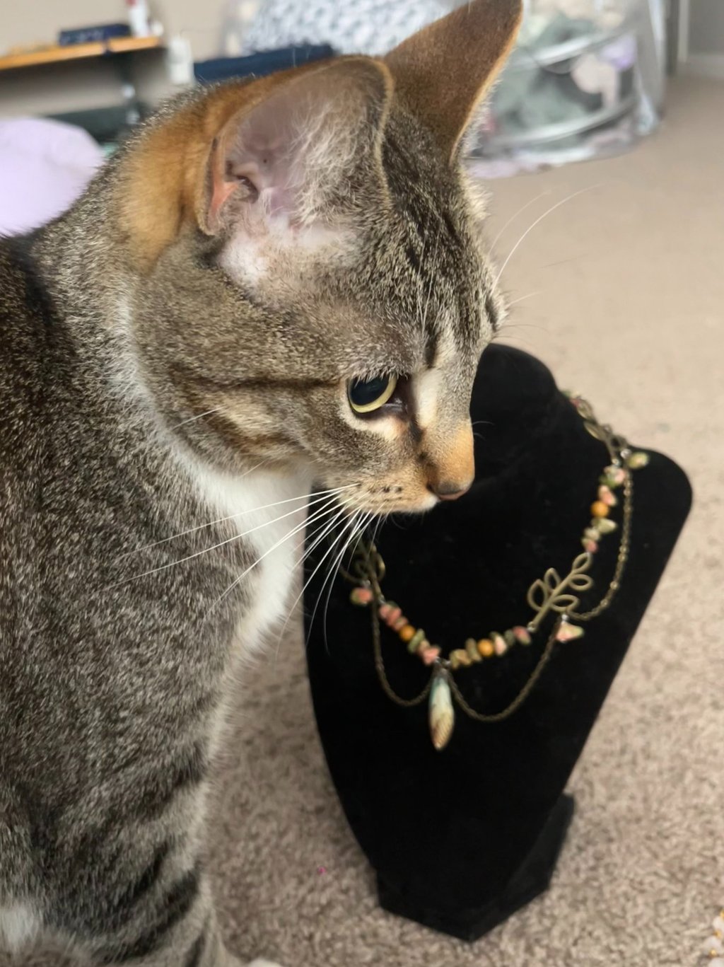 tabby cat sitting in front of a black necklace holder, necklace has leaf motif, stones, draped chain