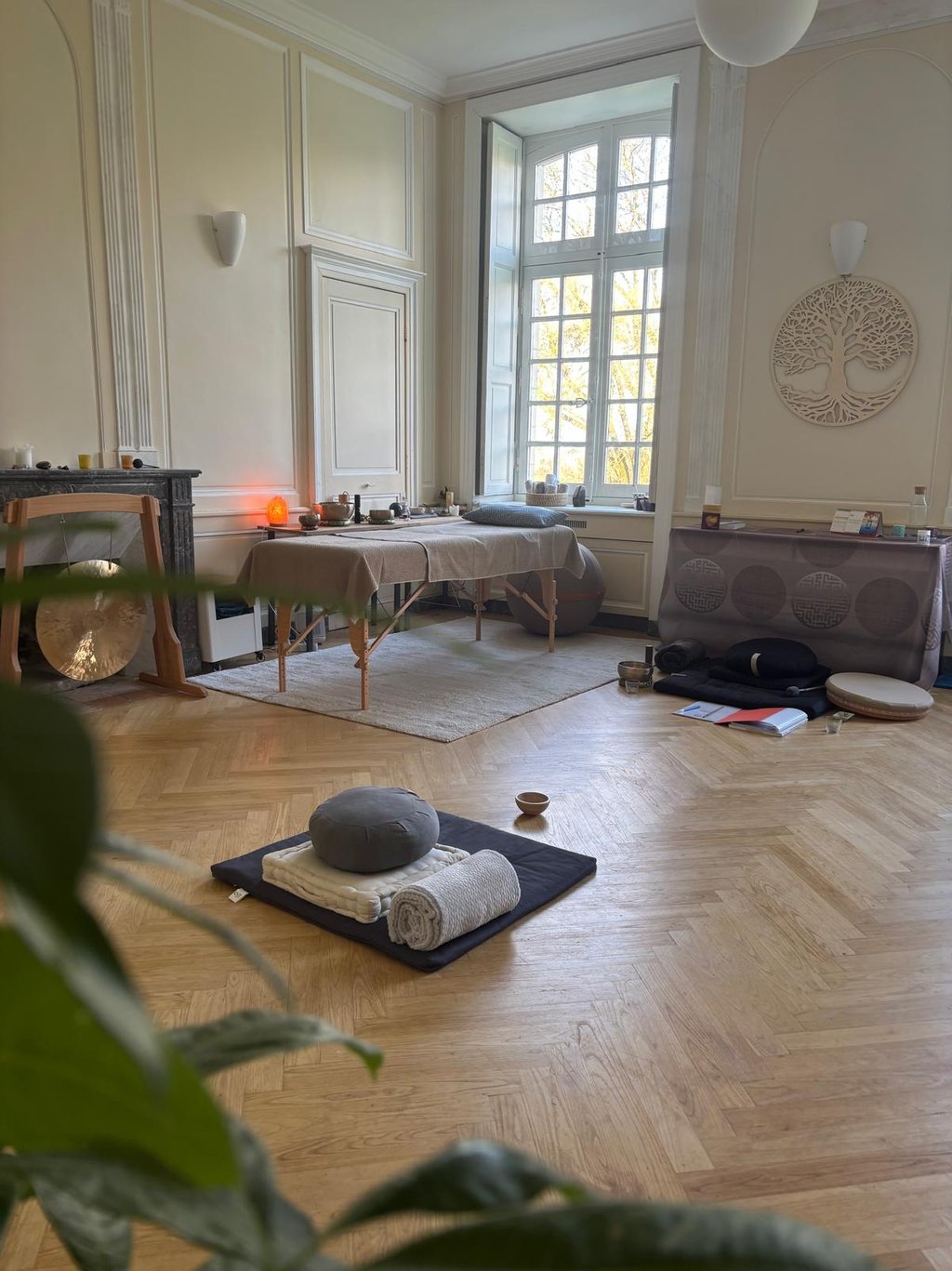 cabinet christophe meunier magnetiseur nantes et st jean de boiseau