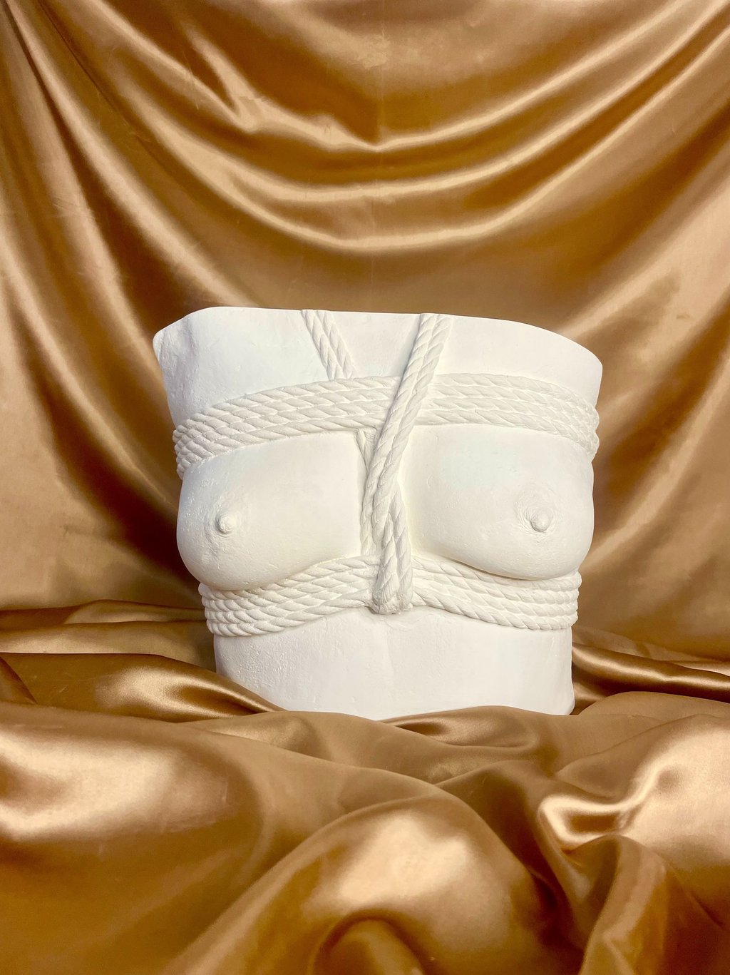 Moulage poitrine plâtre - Shibari