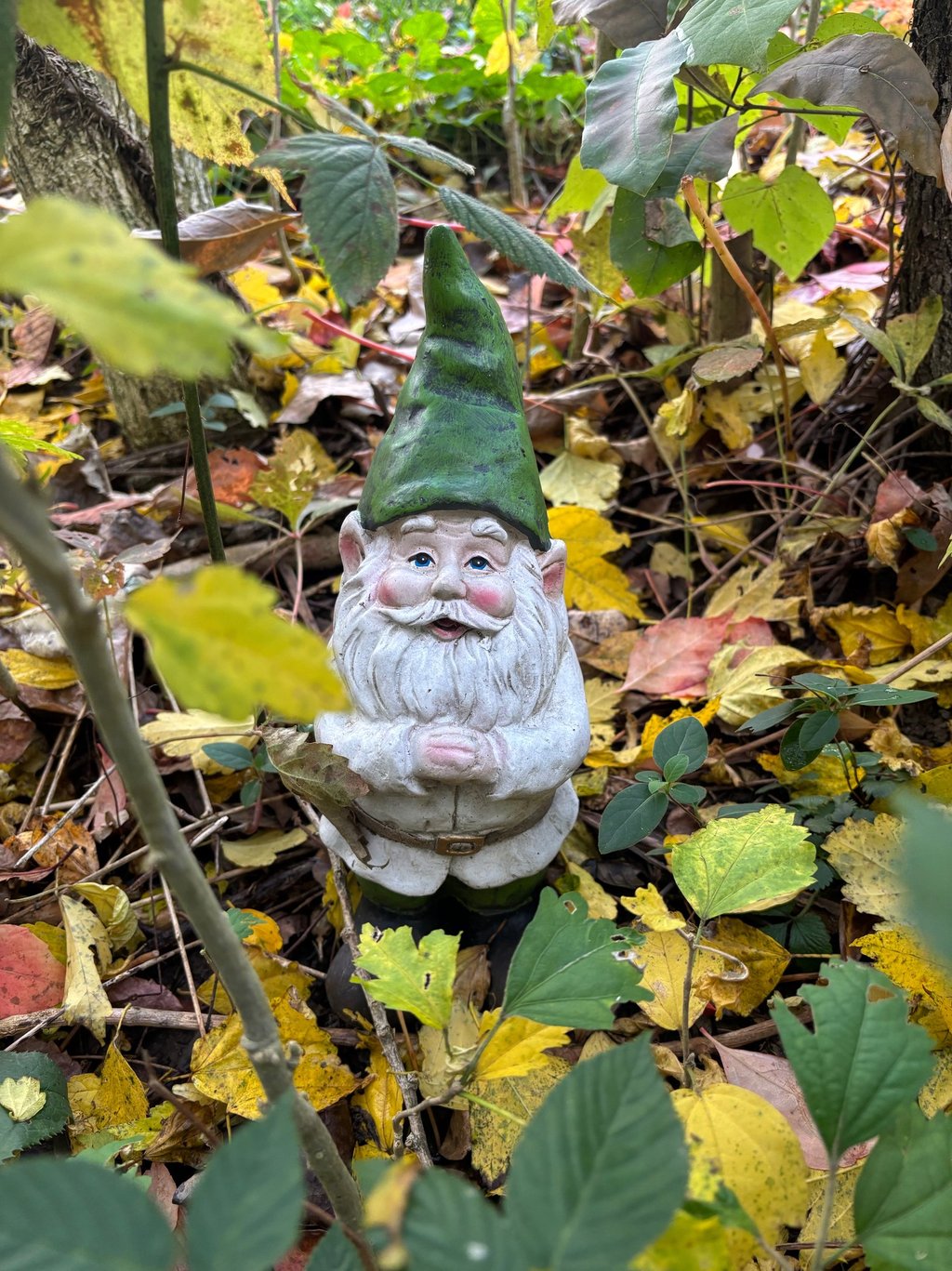 Garden Gnome at Mallow Rose Cottage, Autumn 2024