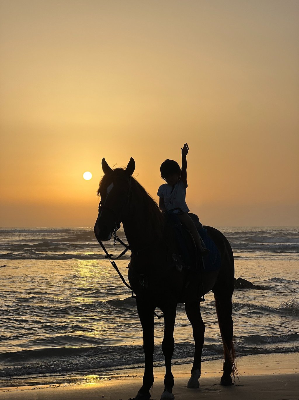 enfant à cheval en bord de mer pendant le coucher de soleil