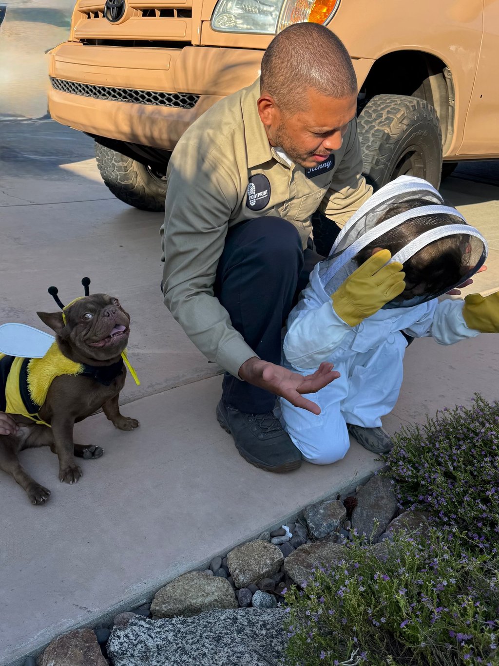 Eco-friendly pest control services safe for families, pets and residential properties.