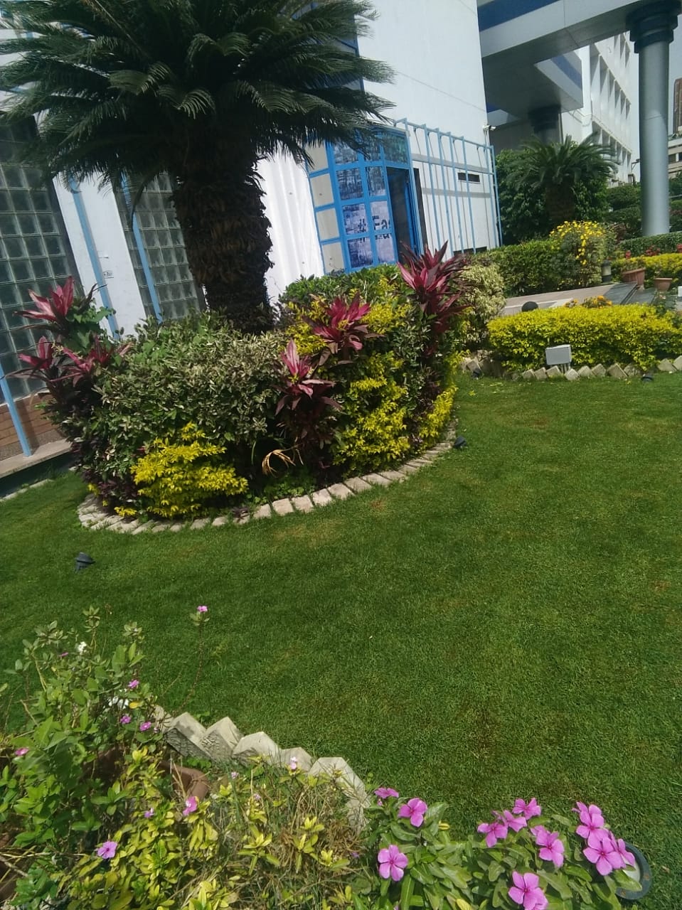 شركة نيو جرين تتش متخصصة في خدمات تصميم وصيانة الحدائق والعناية بالمساحات الخارجية والنباتات الداخلي