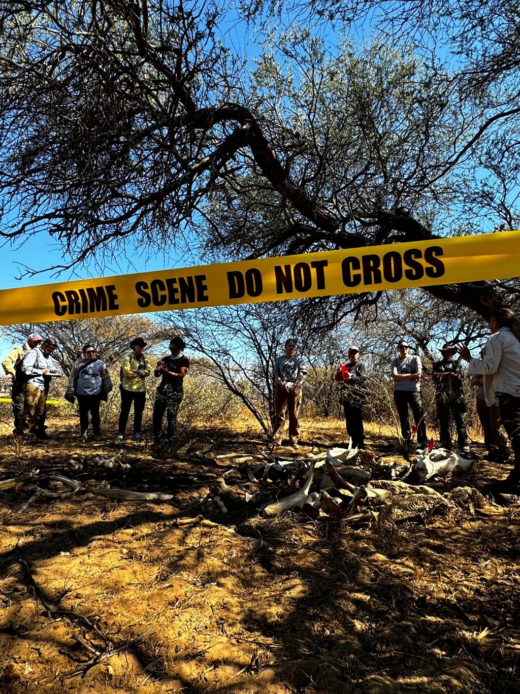 students learning about how to examine a wildlife crime scene