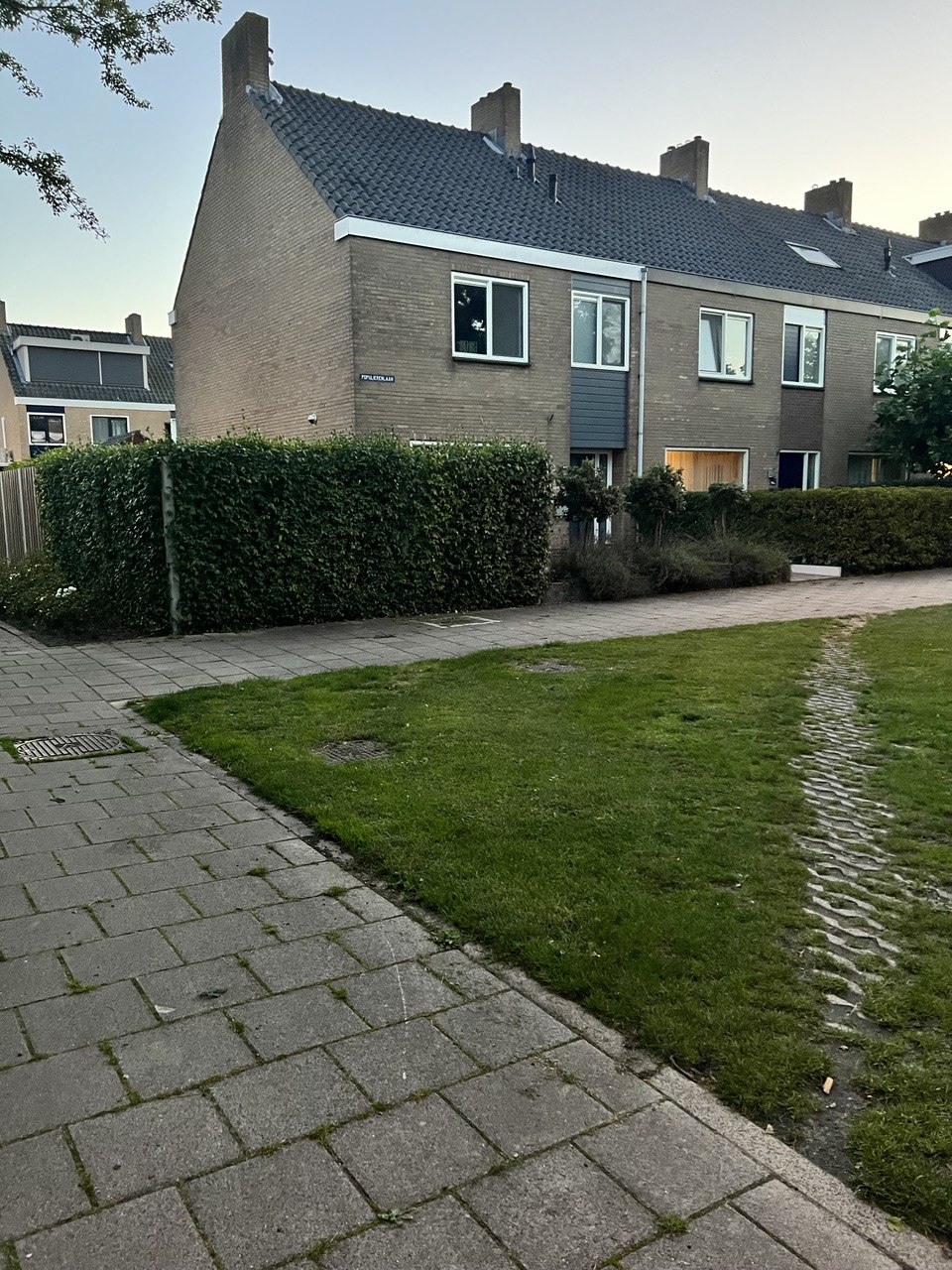 the grass in front of a house
