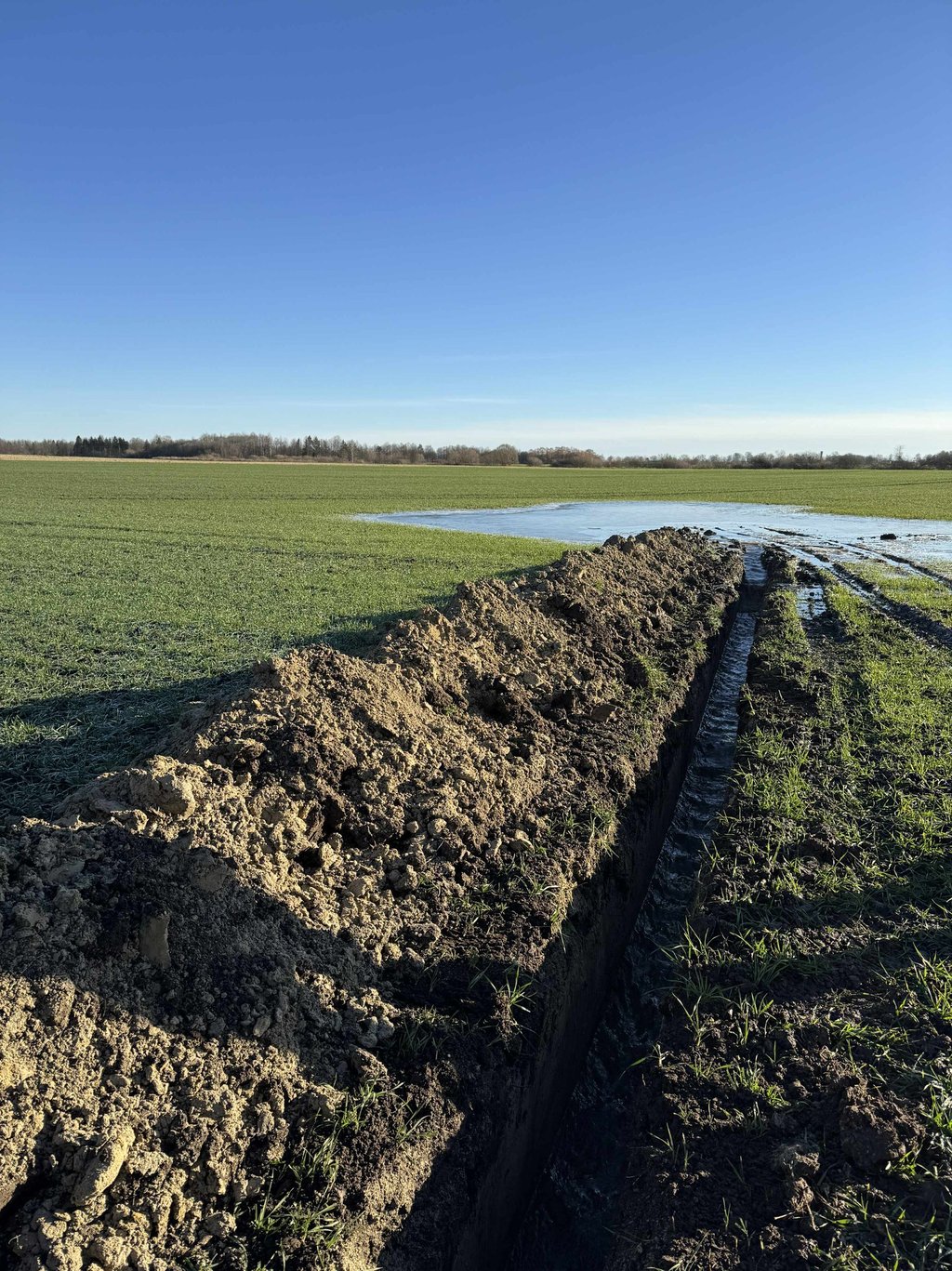 drenazo kasimas, drenazo irengimas, drenazas, transeja