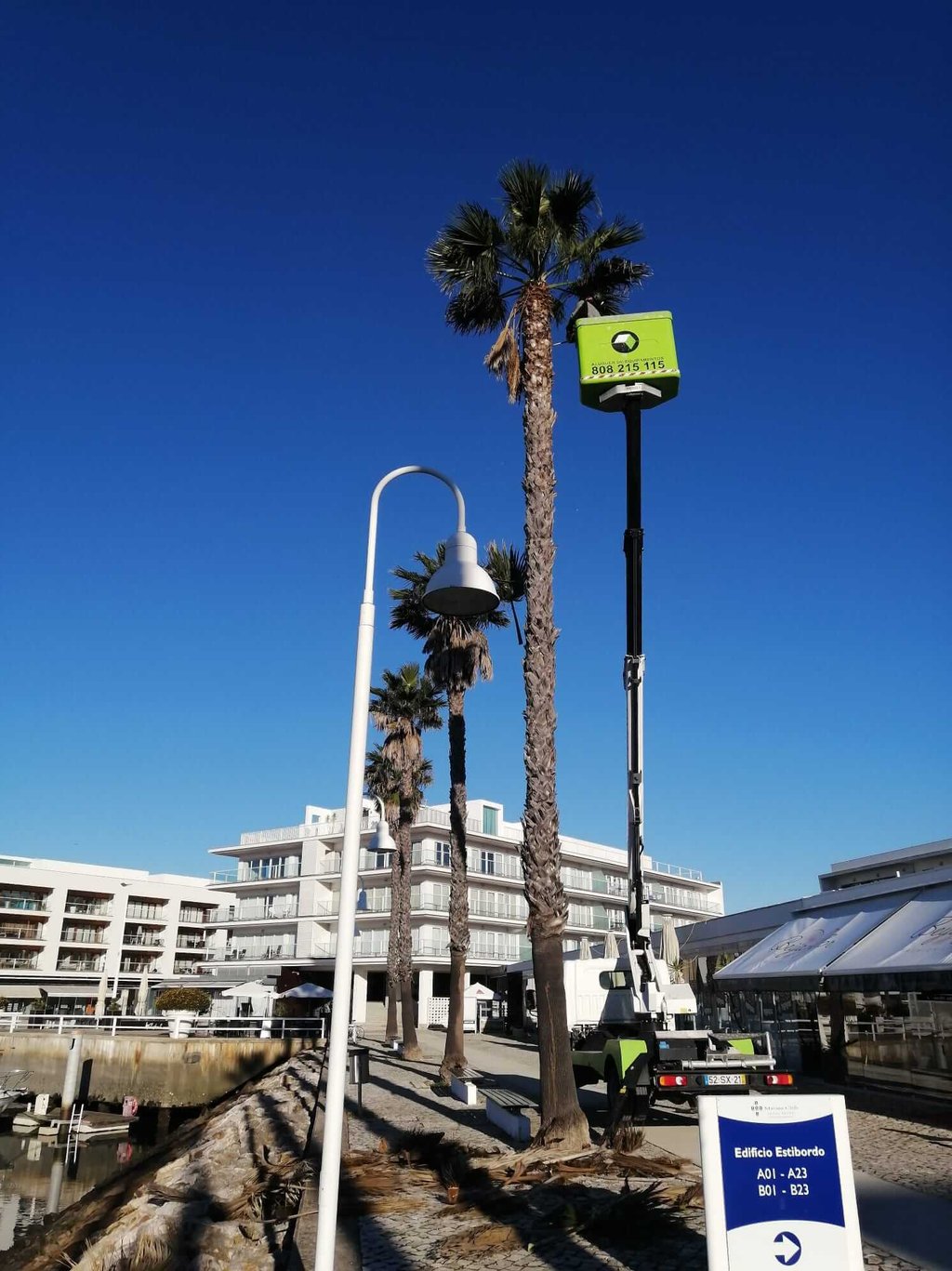 Professional tree service workers trimming tall palm trees using a cherry picker lift in a coastal resort.