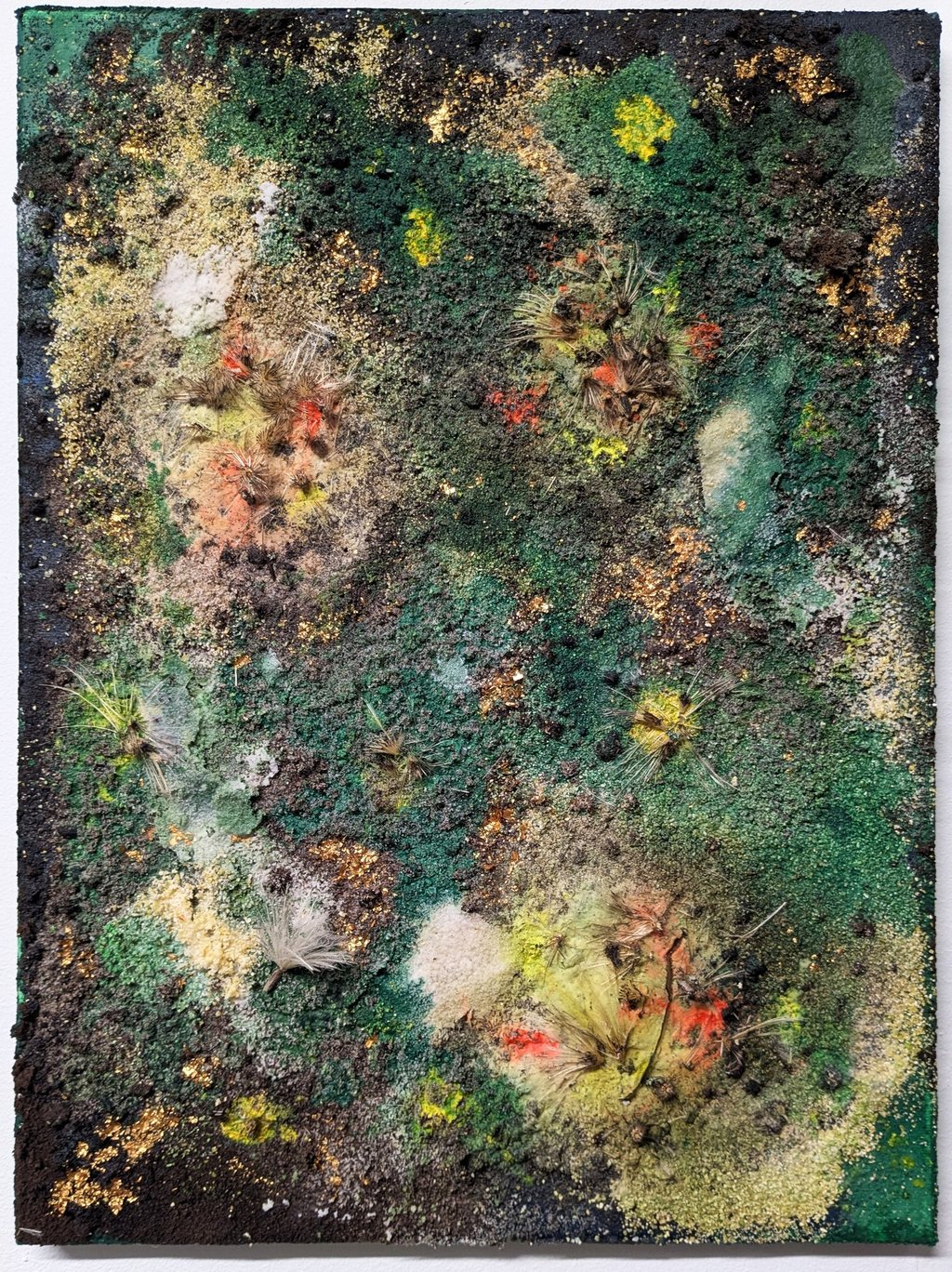 Plants of the Gods