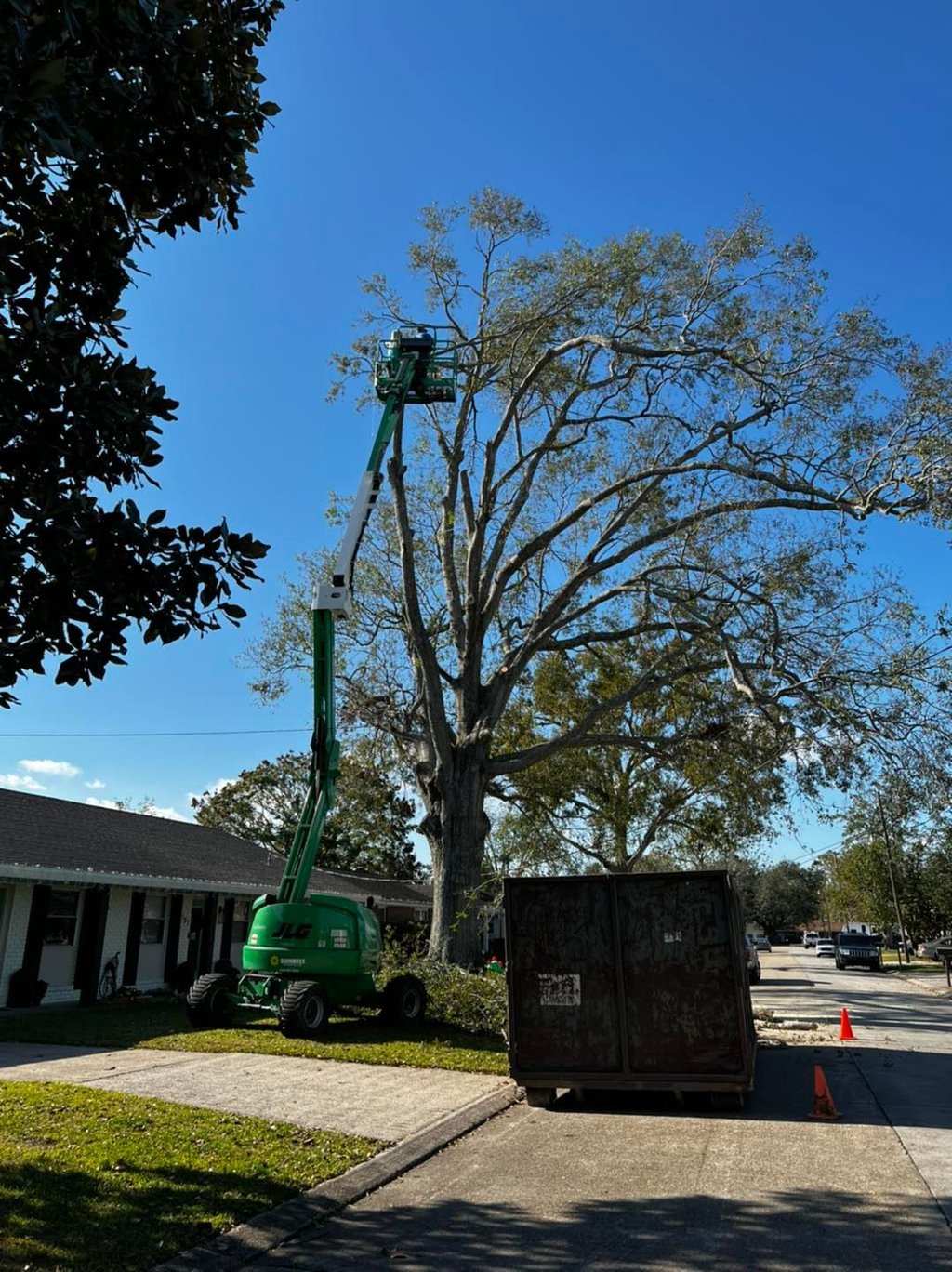 Professional tree trimming service using a green JLG cherry picker lift to prune a large oak tree.