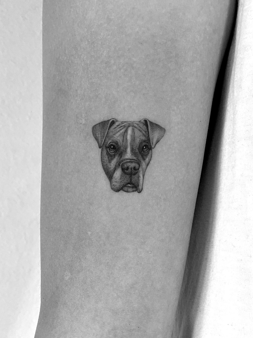 Micro-realism fine line dog portrait tattoo – Sinkply Zürich