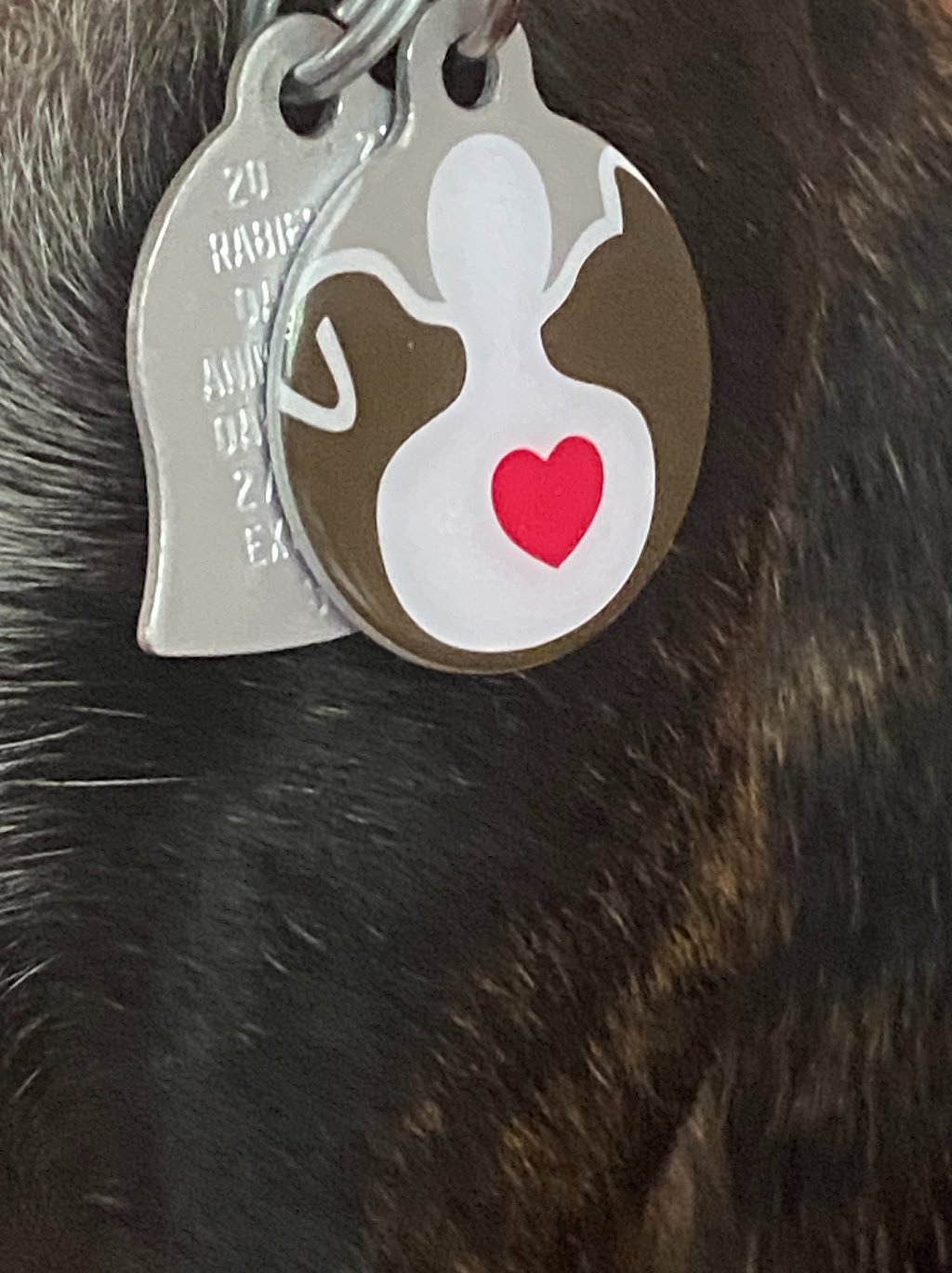 Pet Partners ID tag for Therapy Animals.
