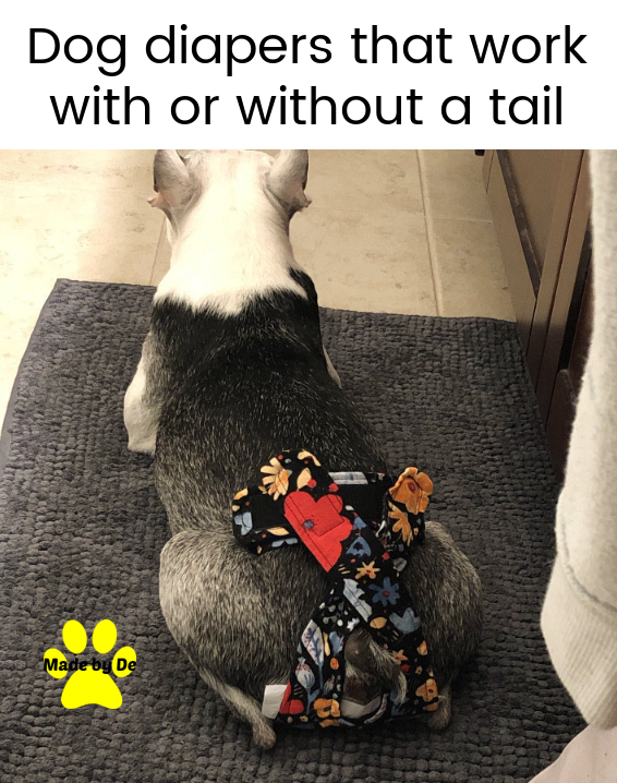 Pitbull wearing a floral patterned dog diaper designed for pets with or without tails.