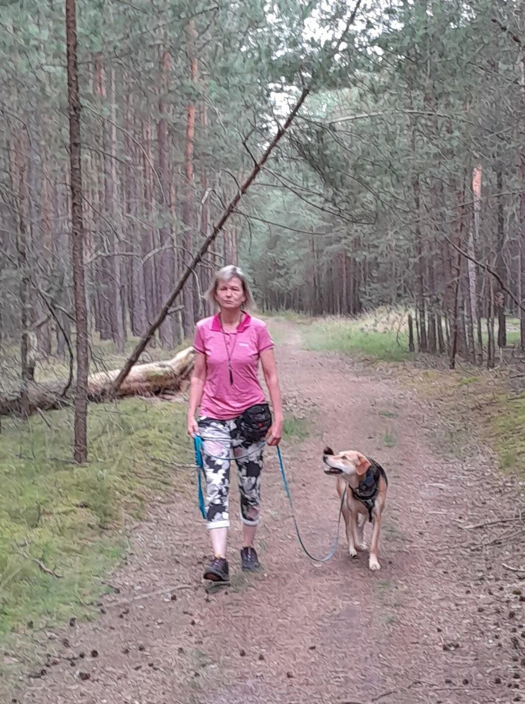 Leinenführigkeitskurs in der Hundeschule Augenblicke in Borkheide bei Potsdam in Brandenburg
