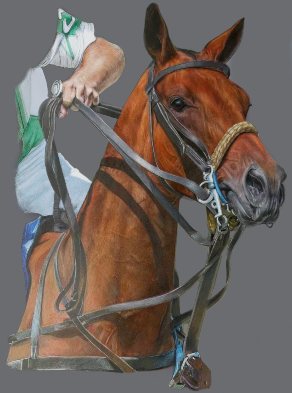 horse, show, tack, show tack, equestrian art horse portrait, show jumping polo eventing, polo shirt