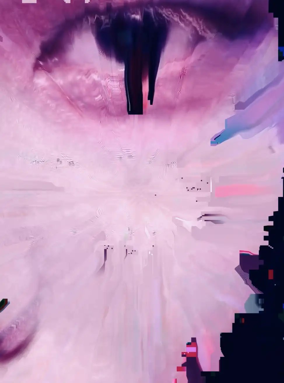 digital art, video installation, glitch,  joanna wlaszyn