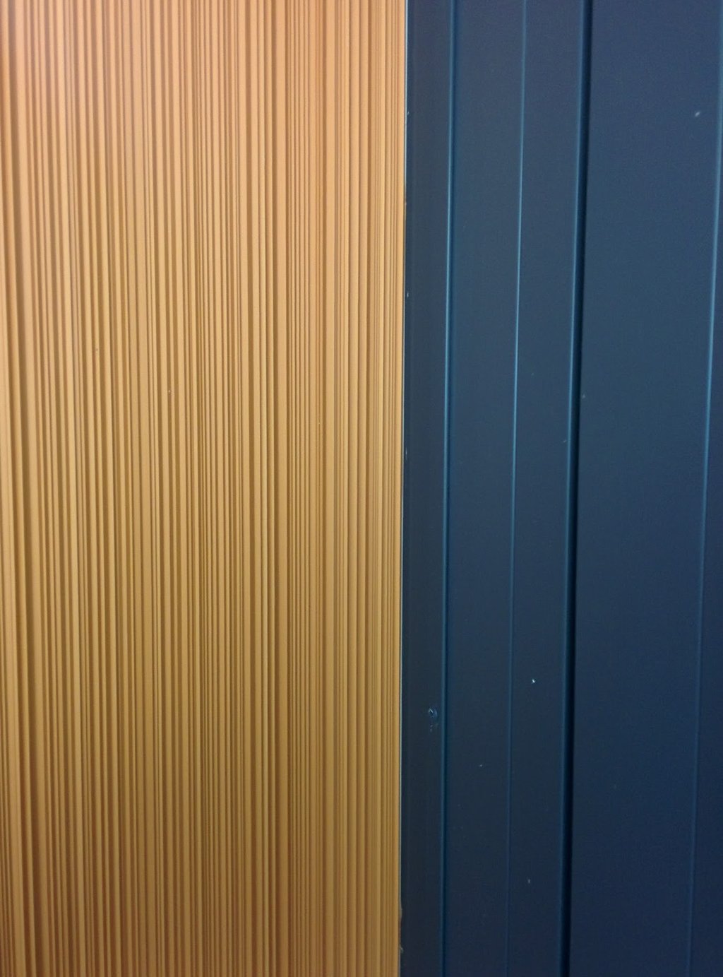 rifliuota sienu danga