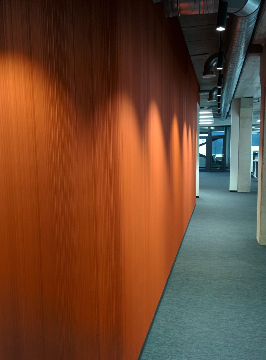 tvirta sienu apdaila