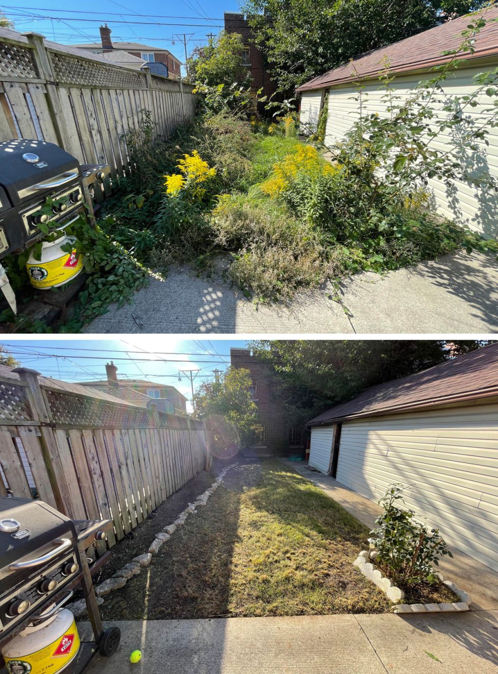 Before and after of a professional garden bed restoration and debris cleanup.